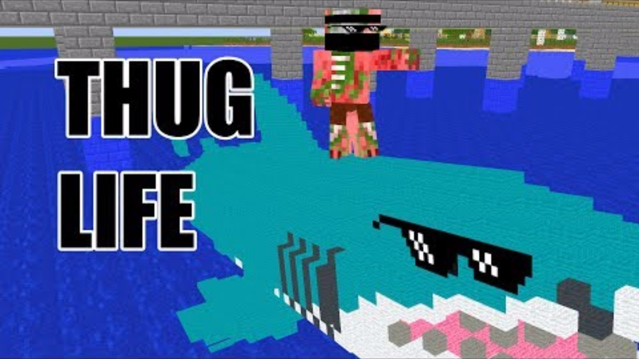 我的世界:怪物学院搞笑版我的世界THUG LIFE挑战